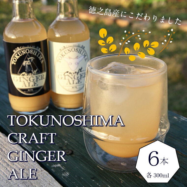 【ふるさと納税】徳之島ジンジャーエール　200ml×6本