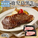 【ふるさと納税】鹿児島黒牛サーロインステーキ2枚セット 400g