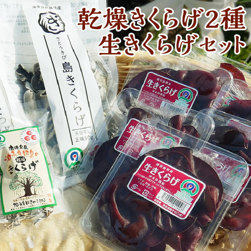 きくらげ さとうきび島きくらげ 乾燥きくらげ 50g×1 スライス 10g×1 生 100g×6 合計 660g セット 乾燥 生 安心 安全 美味しい きのこ バカス 食物繊維 カルシウム ミネラル ビタミンD お取り寄せ 送料無料