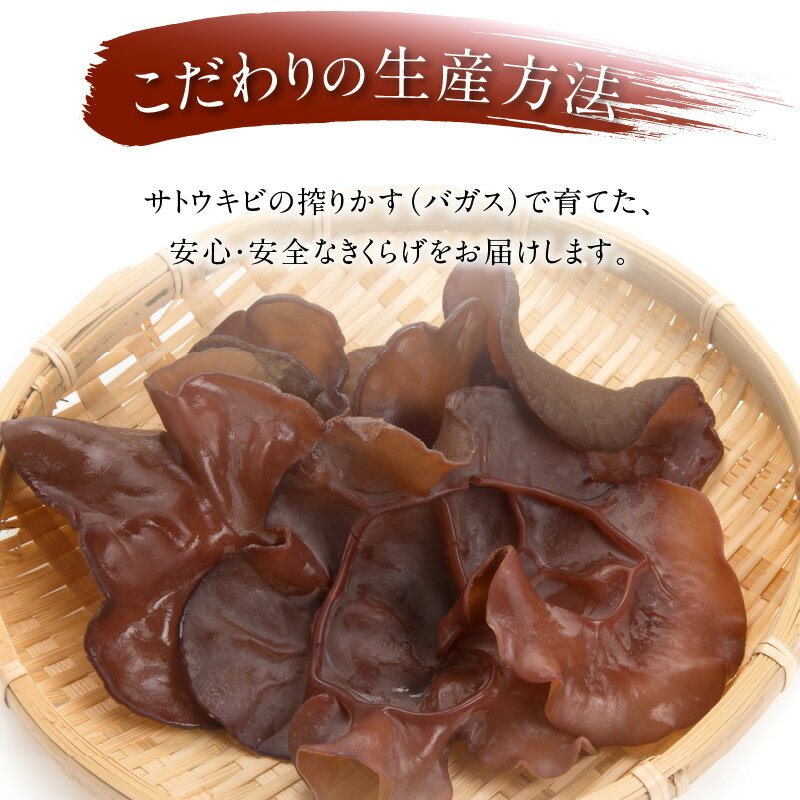 【ふるさと納税】 きのこ きくらげ さとうきび島きくらげ 50g 乾燥 食物繊維たっぷり カルシウム ミネラル ビタミンD バカス 安心 安全 美味しい 保存食品 スープ サラダ 酢の物 天ぷら お取り寄せ 送料無料