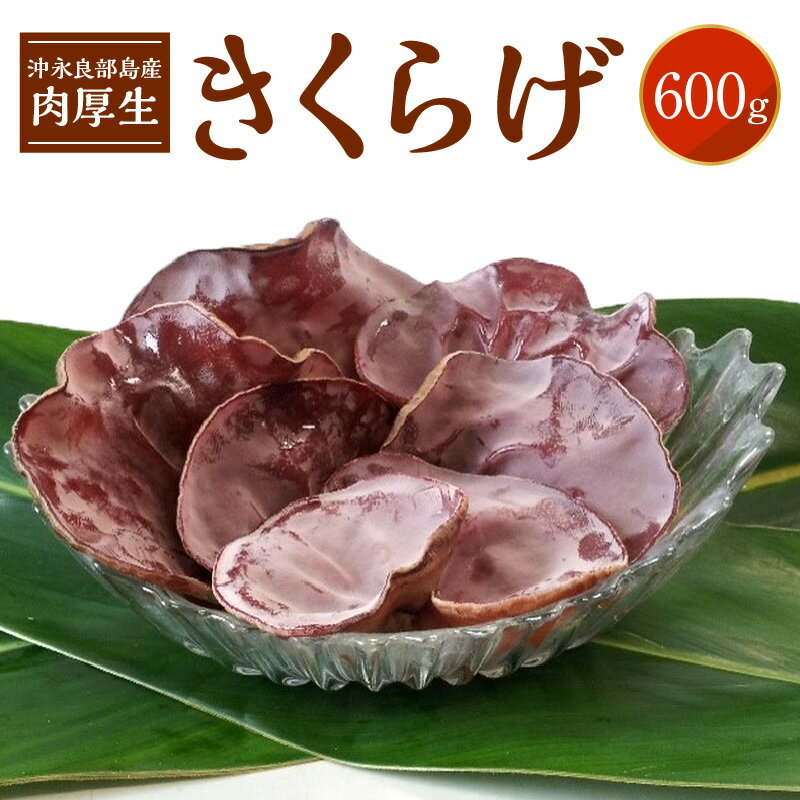 22位! 口コミ数「0件」評価「0」沖永良部島産 肉厚 生きくらげ 600g 産地直送 栽培期間中農薬不使用 安心 安全 食物繊維 カルシウム ミネラル ビタミンD 栄養 美容･･･ 