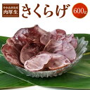 返礼品詳細 沖永良部島は、サトウキビ生産が盛んです！ このサトウキビから原料糖を製造する際に出る搾りかす「バカス」と糖汁の沈殿物「ライムケーキ」・「米ぬか」を菌床の主な材料としており、 ほのかに甘い香りがあり、肉厚でコリコリした食感です。ビタミンDやミネラル、食物繊維が豊富で栄養価の高いきのこです。（鹿児島県K−GAP認証農林水産物商品） 栽培期間中　農薬不使用で、心を込めて丁寧に育てた、南の島沖永良部島産の安心・安全な生きくらげをお楽しみください！ 「お召し上がり方：調理前に10分程度お湯に浸し（戻し）、軽く洗っていただき、炒めものや煮物などの料理にご利用ください。サラダ、酢の物、卵とじ、天ぷら、かき揚げ、味噌汁等あらゆる料理で美味しくいただけます。 名称 【ふるさと納税】産地直送! 栽培期間中農薬不使用「沖永良部島産肉厚生きくらげ600g」 内容量 生きくらげ600g 原材料名 きくらげ 賞味期限 約20日間 注意事項 台風などで流通便がストップした場合発送が遅れる場合があります。 配送温度帯 冷蔵 提供事業者 沖永良部きのこ株式会社 ・ふるさと納税よくある質問はこちら ・寄付申込みのキャンセル、返礼品の変更・返品はできません。あらかじめご了承く ださい。 【地場産品基準】 沖永良部島（和泊町）で収穫されたきくらげのみを使用し，和泊町内事業所出荷をするもの。【ふるさと納税】産地直送!栽培期間中農薬不使用「沖永良部島産肉厚生きくらげ600g」