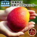  数量限定 完熟 マンゴー 約 1kg 2玉 ～ 3玉 秀品 アップルマンゴー 芳醇 香り 濃厚 甘み とろける 果肉 やみつき 産地直送 新鮮 フルーツ 果物 沖永良部 鹿児島県 和泊町 国産 お取り寄せ お取り寄せフルーツ 送料無料