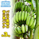 栽培期間中 農薬 除草剤 化学肥料不使用 バニラ風味 甘い 島バナナ 約3kg バナナ 果物 フルーツ アイスクリームバナナ 果肉 デザート スイーツ おやつ ...