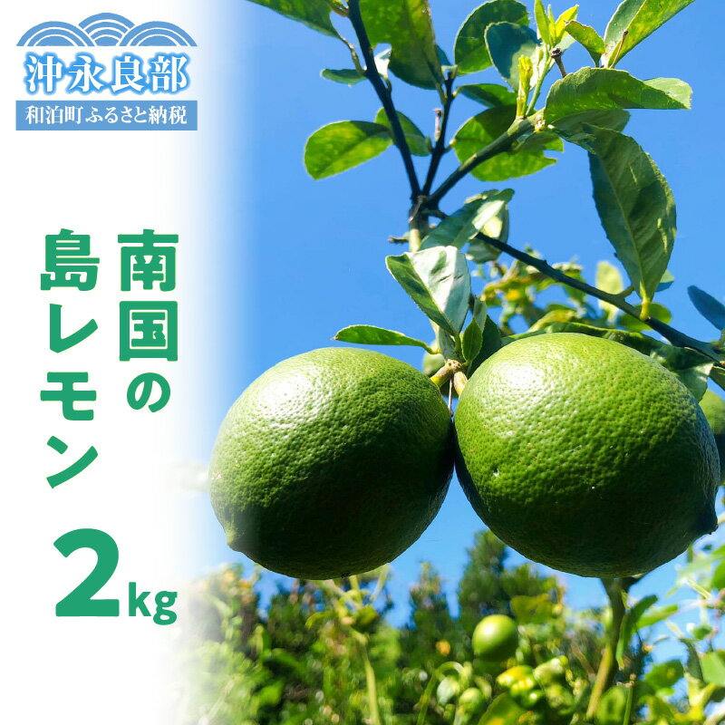 【ふるさと納税】【先行受付】島レモン 2キロ 果物 栽培期間中 農薬 除草剤 化学肥料 不使用 さわやかな酸味 天然 ミネラル 香り豊かな レモン 沖永良部産 自然栽培 スムージー レモンシロップ レモネード 南国 鹿児島 和泊 お取り寄せ 送料無料