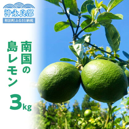 【先行受付】島レモン 3キロ 果物 栽培期間中 農薬 除草剤 化学肥料 不使用 さわやかな酸味 天然 ミネラル 香り豊かな レモン 沖永良部産 自然栽培 スムージー レモンシロップ レモネード 南国 鹿児島 和泊 お取り寄せ 送料無料