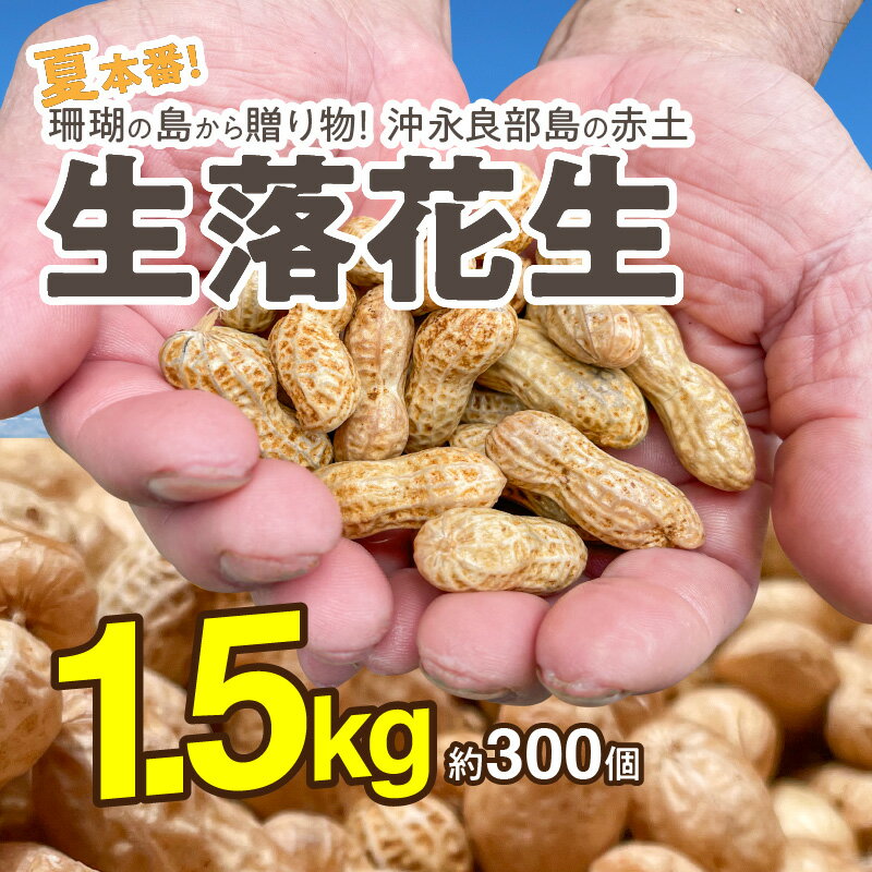 【ふるさと納税】生落花生 1.5kg 300個 ジーマミー 落花生 地豆 国産 冷蔵 南国 九州 鹿児島県 和泊町 沖永良部島 ソールフード 送料無料 塩茹で おつまみ おやつ 食品 食べ物 クール便 夏の塩分補給