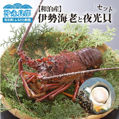 【ふるさと納税】伊勢海老 約 2kg 6〜8尾 夜光貝 1〜2個 食べ比べ セット 天然 活き〆冷凍 漁師直送 素..