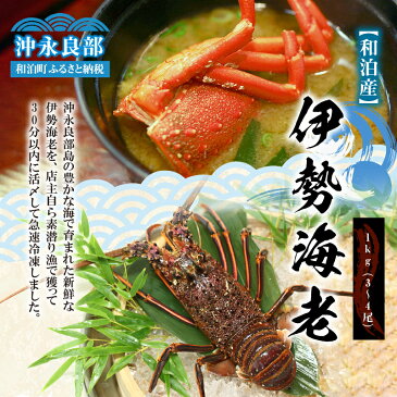 【ふるさと納税】【和泊産】店主が素潜りで獲った伊勢海老1kg