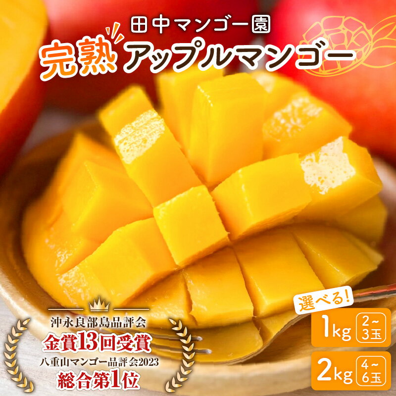【ふるさと納税】【2025年先行予約】<選べる> 完熟マンゴー 1kg or 2kg 2玉 ~ 6玉 沖永良部 数量 期間 限定 予約 マンゴー アップルマンゴー 果物 フルーツ 国産 完熟 濃厚 甘い とろける 香り 田中マンゴー園 鹿児島 和泊町 おすすめ ランキング プレゼント ギフト