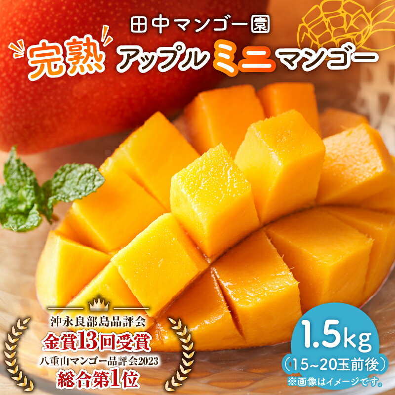 【ふるさと納税】 完熟アップルミニマンゴー 1.5kg マンゴー ミニ アップルマンゴー 完熟 果物 果実 南国 おいしい 甘い 鹿児島 沖永良部 期間 限定 田中マンゴー園 ふるさと納税 和泊町 おすすめ ランキング プレゼント ギフトのサムネイル