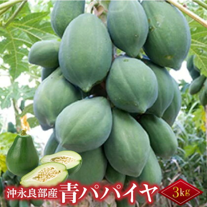 酵素たっぷり「青パパイヤ」3kg