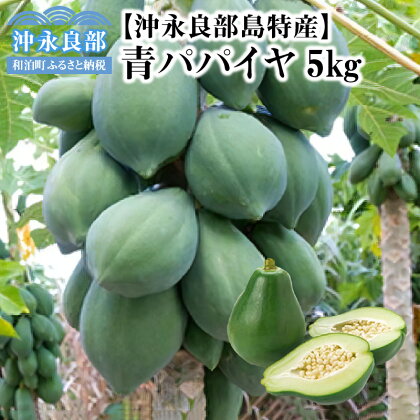 酵素たっぷり「青パパイヤ」5kg