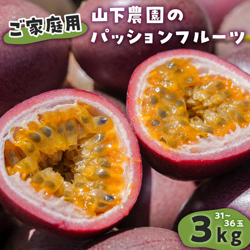 【ふるさと納税】【ご家庭用】山下農園のパッションフルーツ 3kg【6月上旬～7月上旬発送】