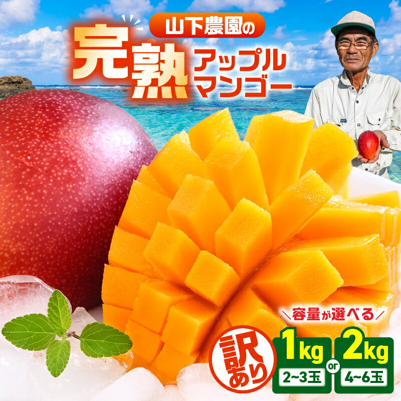 [2026年先行予約][訳あり][選べる] 甘い香りの贈り物 山下農園 の 完熟アップルマンゴー 1kg or 2kg マンゴー アップルマンゴー 完熟 芒果 先行予約 期間限定 果物 フルーツ 果実 甘い デザート 鹿児島 和泊町 おすすめ ランキング プレゼント ギフト