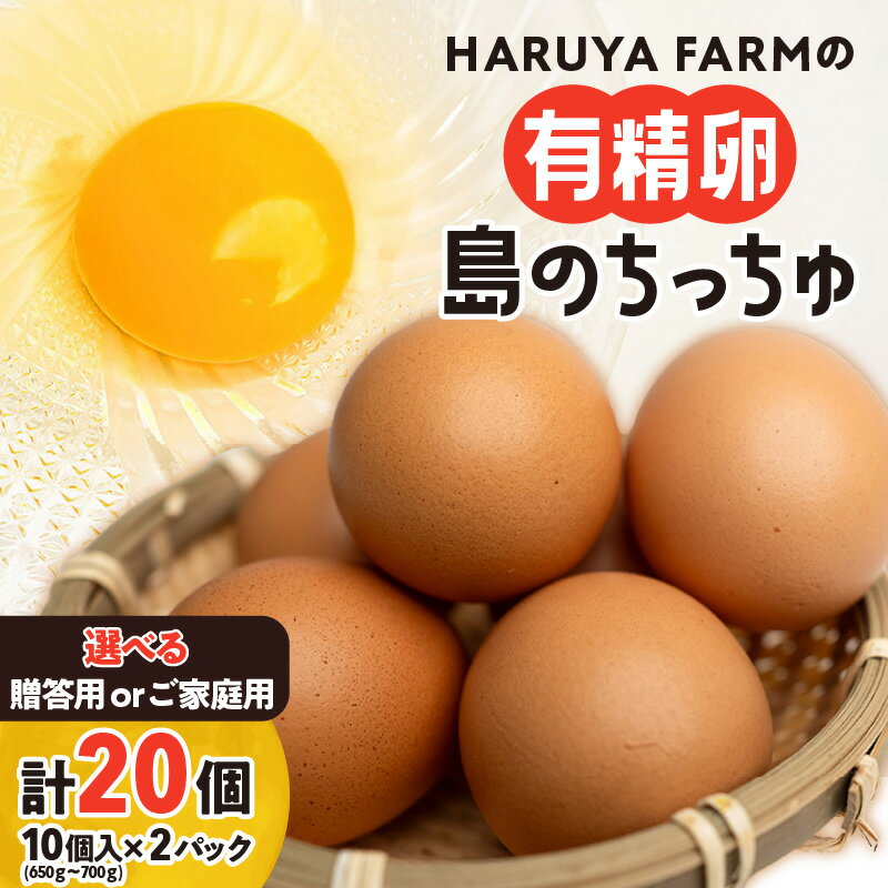 【ふるさと納税】<選べる> 有精卵 20個 贈答用 or ご家庭用 HARUYA FARM 島のちっちゅ 卵 鶏卵 たまご エッグ 鶏 安心 安全 低コレステロール 高タンパク質 低カロリー 食物繊維 たまごサンド たまごかけご飯 プリン 鹿児島 和泊町 おすすめ ランキング プレゼント ギフト