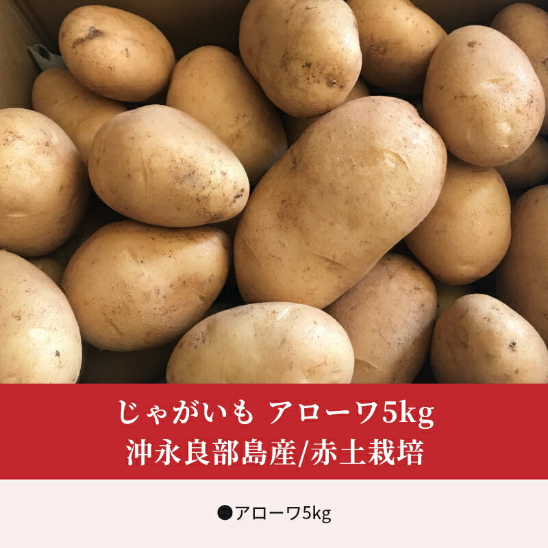 【ふるさと納税】先行予約 沖永良部島産 おいしい 赤土 じゃがいも アローワ5kg 2月初旬〜5月下旬発送 数量限定 新鮮 和泊 国産 人気 野菜 ホクホク 送料無料