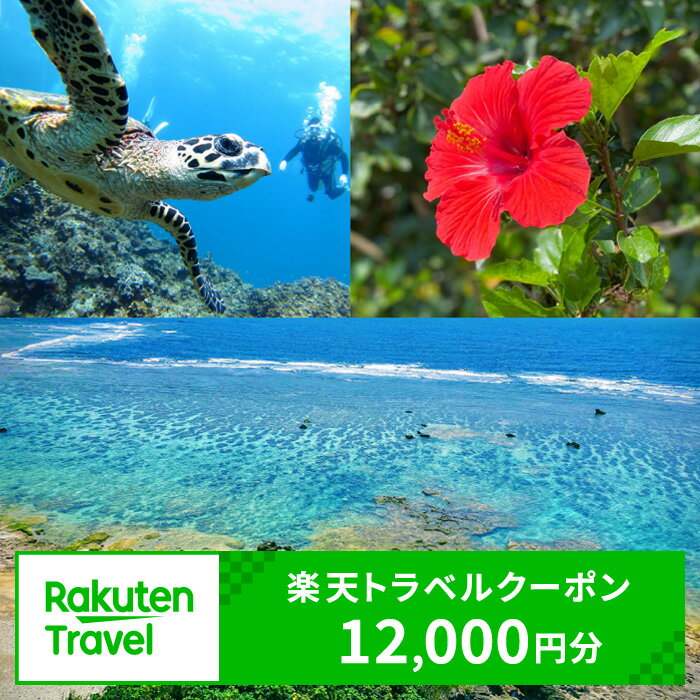 15位! 口コミ数「0件」評価「0」鹿児島県和泊町の対象施設で使える楽天トラベルクーポン 寄付額40,000円 ホテル 旅館 宿泊予約 旅行 予約 連泊 国内クーポン 宿泊券 ･･･ 