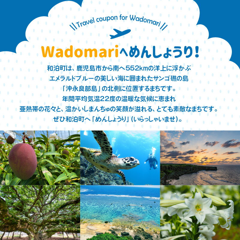 【ふるさと納税】鹿児島県和泊町の対象施設で使える楽天トラベルクーポン 寄付額30,000円 ホテル 旅館 宿泊予約 旅行 予約 連泊 国内クーポン 宿泊券 旅行券 チケット 春 夏 秋 冬 ビジネス 出張 洋室 和室その2