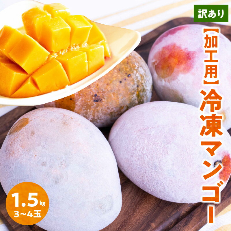 【ふるさと納税】【先行予約】訳あり 冷凍マンゴー 1.5kg 沖永良部島産 マンゴー アップルマンゴー 3玉 ～ 4玉 加工用 アレンジ自由 ジュース トッピング ジェラート ジャム お菓子 鹿児島県 …