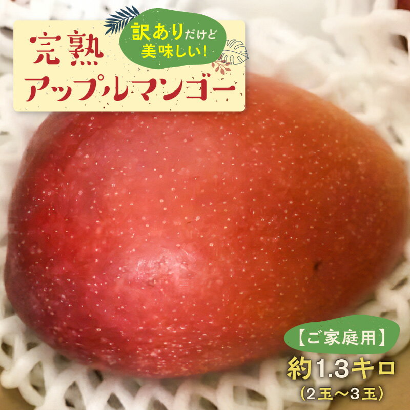 【ふるさと納税】【先行受付】 訳あり ご家庭用 完熟 マンゴー 約 1.3kg 2玉 ～ 3玉 アップルマンゴー 国産 フルーツ 果物 糖度約12度以上を選定 鹿児島県 沖永良部 和泊町 お取り寄せ お取り…