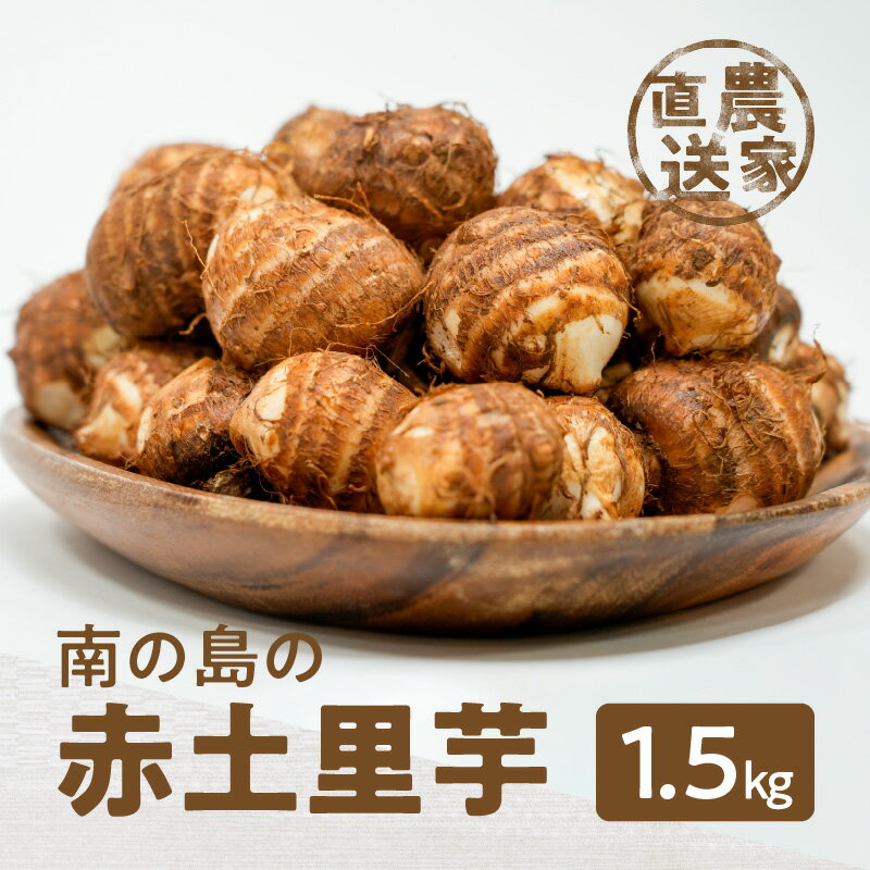 【ふるさと納税】【2025年先行予約】 南の島の赤土里芋 1.5kg 約 40個 農家直送 栽培歴40年 5月上旬 ～ 6月下旬 さといも 里芋 野菜 芋 期間 数量 限定 もっちり まろやか 柔らかい 新鮮 人気 沖永良部 国産 川間農園 鹿児島 和泊町 おすすめ ランキング プレゼント ギフト