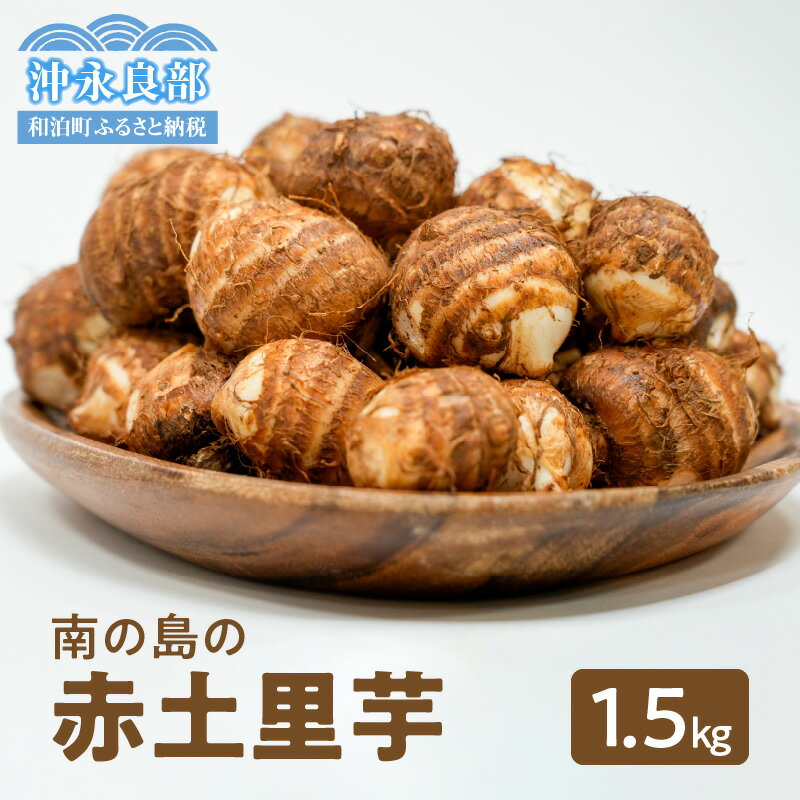 ڤդ뤵ǼǡԼ ľ 40ǯ   Τ 1.5kg 5 6 Ȥ   ä ޤ䤫 ̸    ͵   ̵