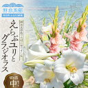 【ふるさと納税】沖永良部島で大切に育てられた えらぶユリ・グラジオラス切り花（中）セット