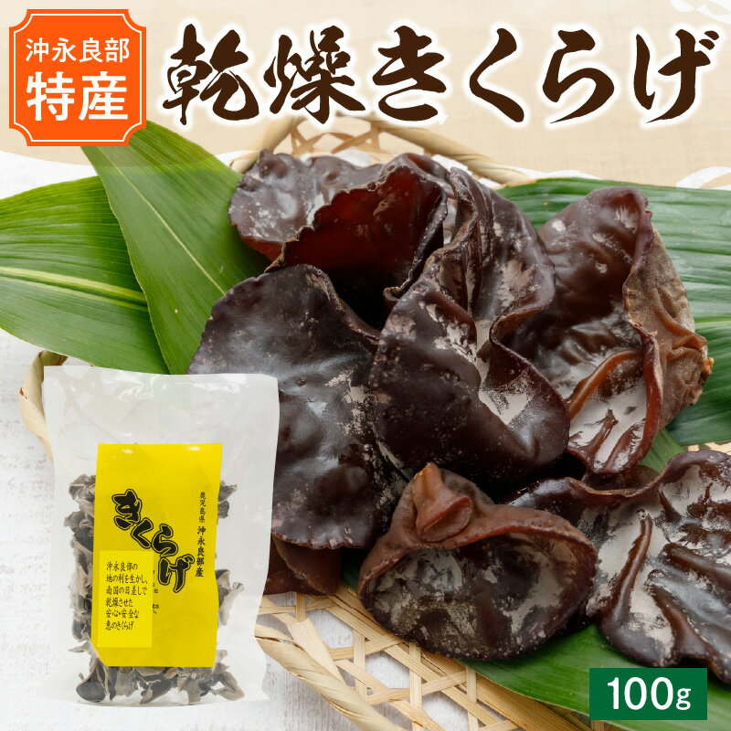 【ふるさと納税】乾燥 きくらげ 100g 沖永良部島特産 食