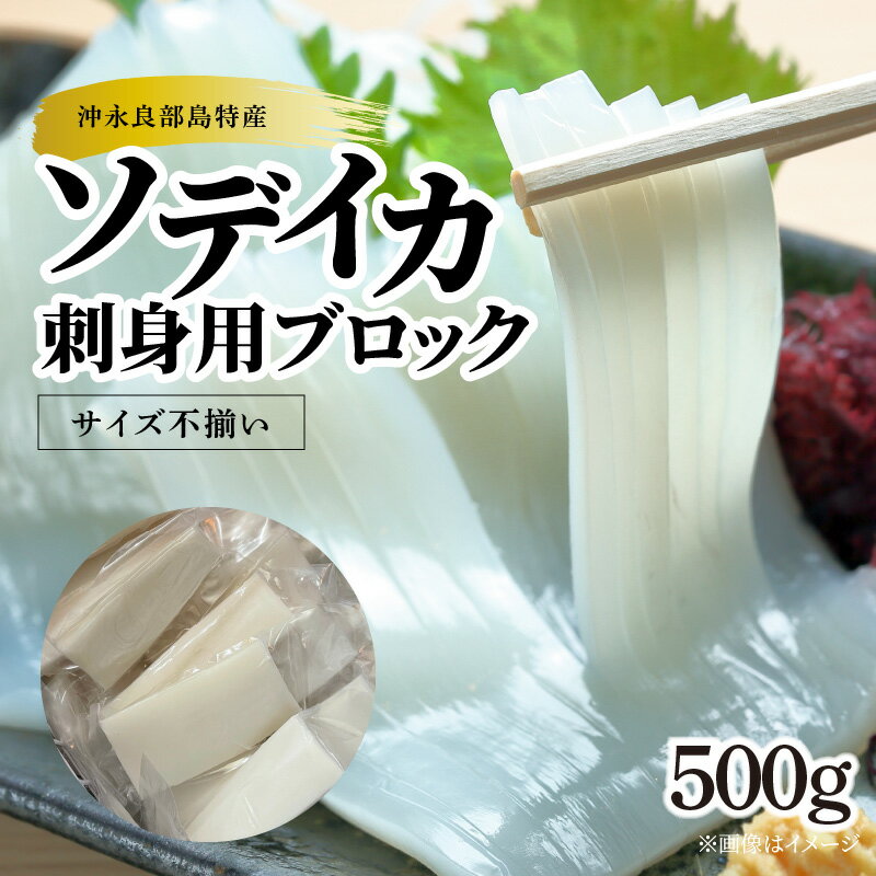 【ふるさと納税】【サイズ不揃い】ソデイカ・刺身用ブロック 500g/沖永良部島特産