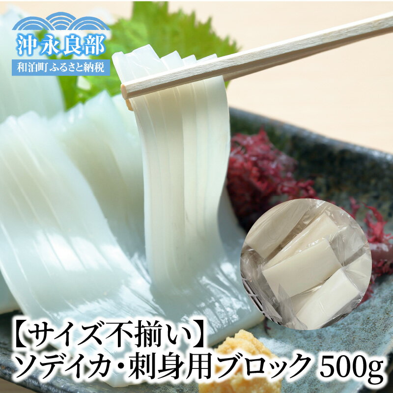 [サイズ不揃い]ソデイカ・刺身用ブロック 500g/沖永良部島特産