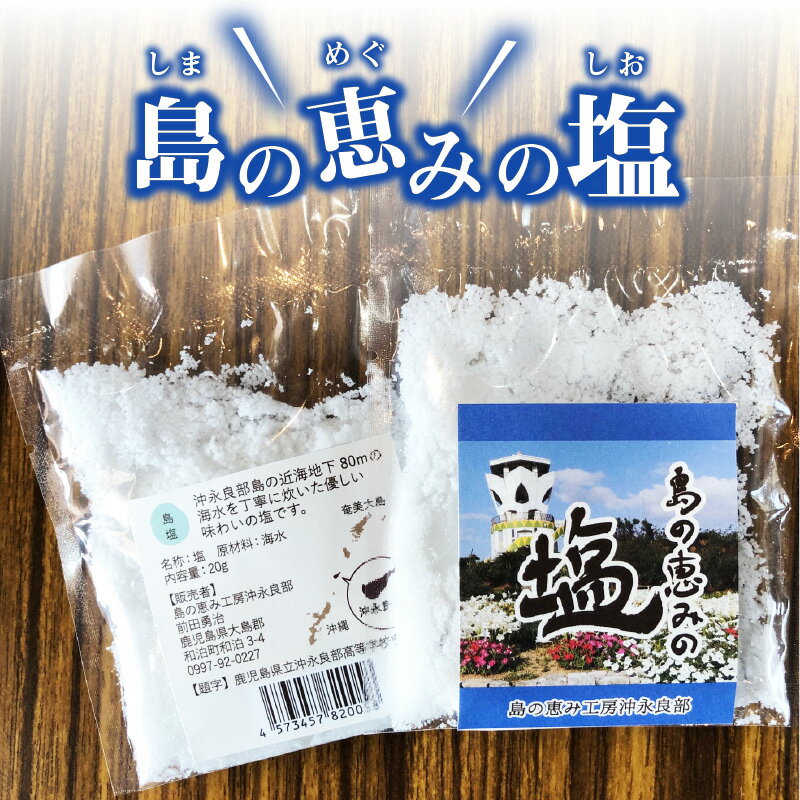 【ふるさと納税】塩 20g 島の恵みの塩 ソルト 手作り 沖永良部島 海水塩 近海海水 優しい味わい 郵送 ポスト投函 食品 保存 調味料 漬物 梅干し 塩漬け 九州 鹿児島県 和泊町 お取り寄せ 送料無料