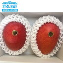 【ふるさと納税】南の島で太陽の日差しをたっぷり浴びた沖永良部...