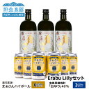 【ふるさと納税】飲み比べ セット まぁさん ハイボール 8％