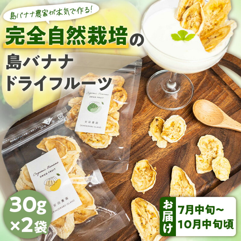 9位! 口コミ数「0件」評価「0」先行受付 バナナ ドライフルーツ 30g × 2袋 農家 完全自然栽培 島バナナ 手づくり 濃厚な甘み 芳醇な香り 砂糖 着色料 保存料 不･･･ 