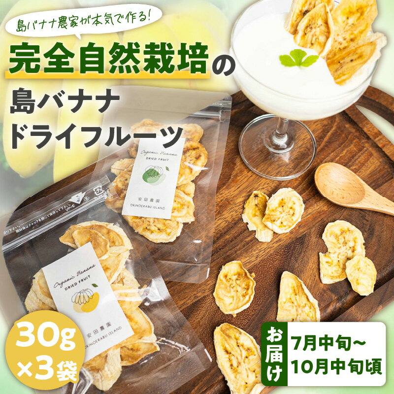 19位! 口コミ数「0件」評価「0」先行受付 バナナ ドライフルーツ 30g × 3袋 農家 完全自然栽培 島バナナ 手づくり 濃厚な甘み 芳醇な香り 砂糖 着色料 保存料 不･･･ 