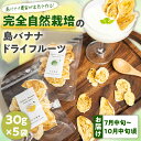 【ふるさと納税】先行受付 バナナ ドライフルーツ 30g × 5袋 農家 完全自然栽培 島バナナ 手づくり 濃厚な甘み 芳醇な香り 砂糖 着色料 保存料 不使用...