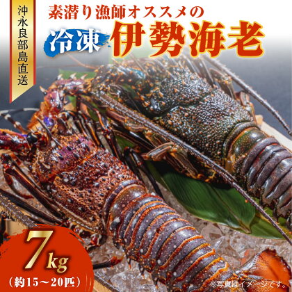 伊勢エビ 冷凍 7kg 15~20匹 沖永良部島産 海老 高級食材 説明文付き 生冷凍 濃厚 だし汁 お味噌汁 お鍋 焼きエビ グルメ お取り寄せ お取り寄せグルメ ギフト 贈り物 お祝い 送料無料