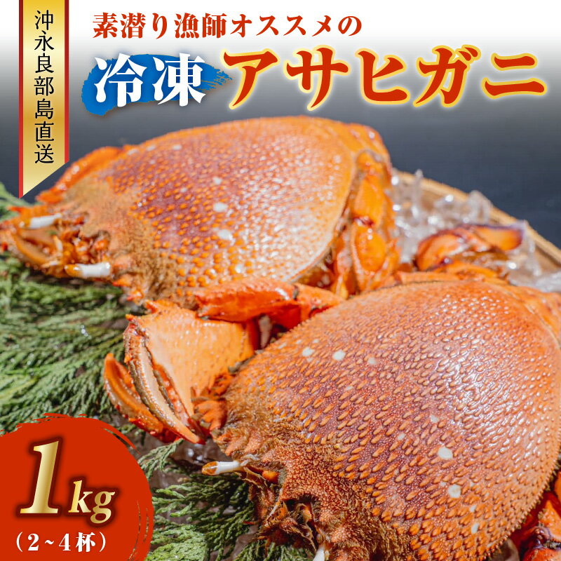 24位! 口コミ数「0件」評価「0」冷凍 アサヒガニ カニ 1キロ 2～4杯 沖永良部島直送 素潜り漁師 オススメ 素潜り漁 新鮮 鮮度保持 グルメ お取り寄せ 海産物 味噌汁･･･ 