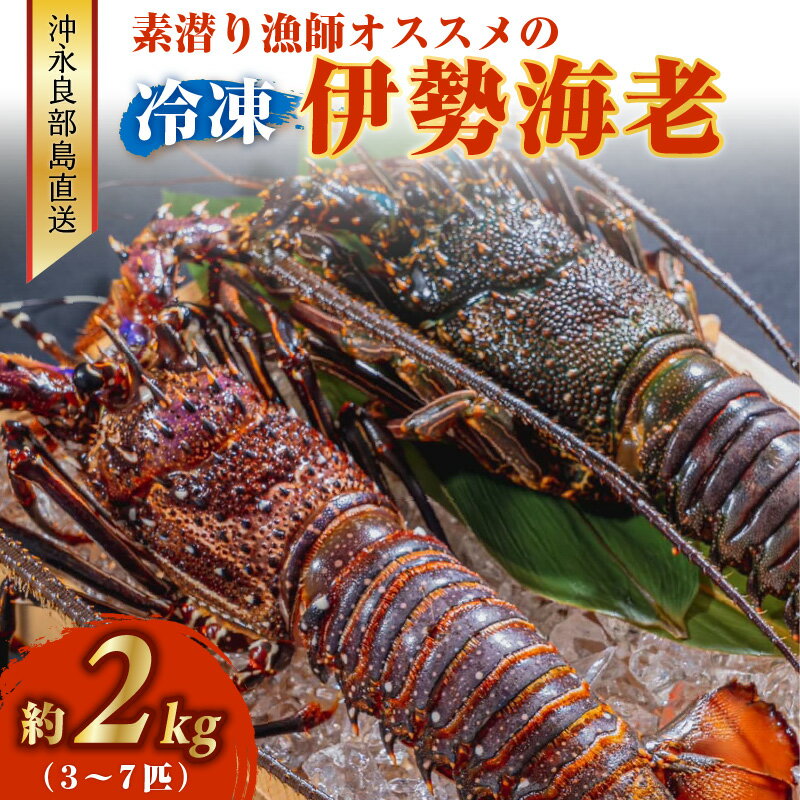 魚介類・水産加工品(エビ)人気ランク13位　口コミ数「0件」評価「0」「【ふるさと納税】冷凍 伊勢海老 約 2キロ 3～7匹 沖永良部島直送 素潜り漁師 オススメ 素潜り漁 新鮮 鮮度保持 グルメ お取り寄せ 海産物 味噌汁 お鍋 シメ 旨味 出汁 唐揚げ 雑炊 特産品 沖永良部島 送料無料」