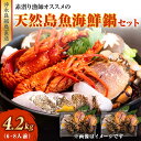 【ふるさと納税】天然島魚 海鮮鍋 セット 4.2キロ 6〜8人前 伊勢海老 アサヒガニ 各 2kg 島魚 200g 沖永良部島直送 素潜り漁師 オススメ 素潜り...
