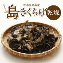 全国放送で紹介 きくらげ 50g 肉厚 きのこ 沖永良部島名産 さとうきび島 乾燥きくらげ 鹿児島県 知名町 ビタミン ミネラル 料理 食品 食物繊維 お取り寄せ お取り寄せグルメ 送料無料