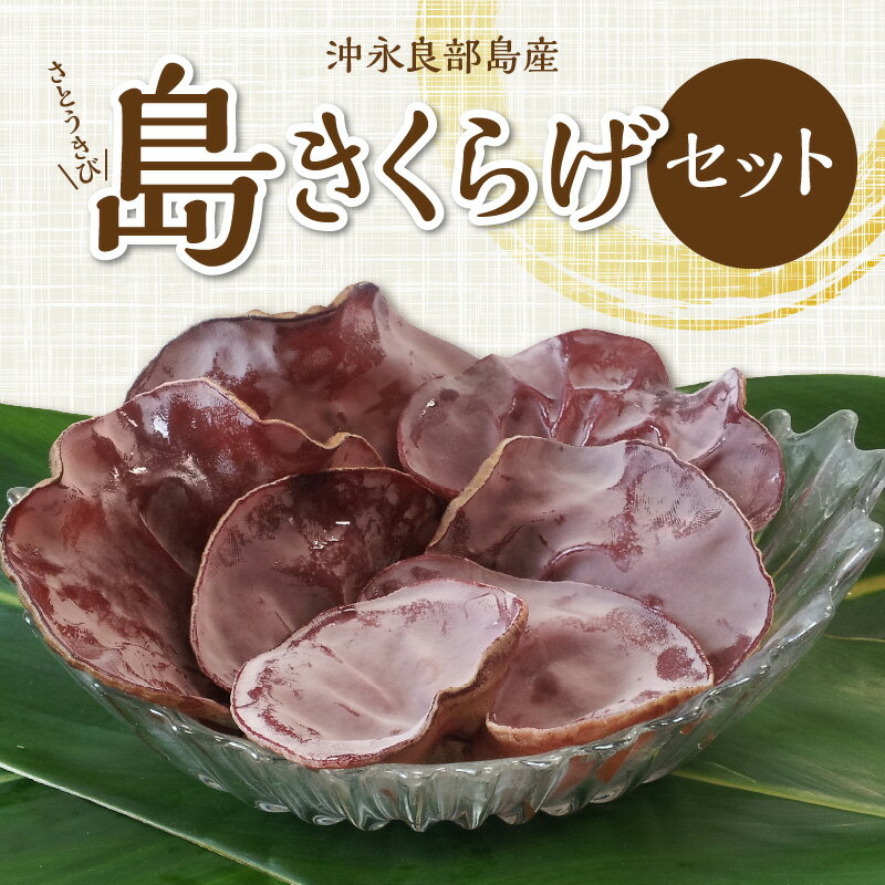 全国放送で紹介 国産 きくらげ セット 生きくらげ 100g×10 300g×5 乾燥きくらげ 50g×5 きくらげスライス 10g きのこ 沖永良部島名産 鹿児島県 知名町 ビタミン ミネラル 和食 中華 洋食 食品 食物繊維 お取り寄せ お取り寄せグルメ 送料無料