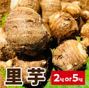 野菜・きのこ(里芋)人気ランク11位　口コミ数「0件」評価「0」「【ふるさと納税】里芋 1箱 石川早生丸 煮物 唐揚げ 筑前煮 煮っころがし ねっとりとした食感 鹿児島県 知名町 お取り寄せ 掘りたて 新鮮 野菜 食品 おかず おつまみ 5月 お届け 送料無料」