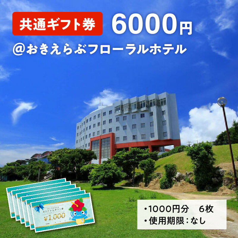 【ふるさと納税】 共通ギフト券6000円＠おきえらぶフローラルホテルその2