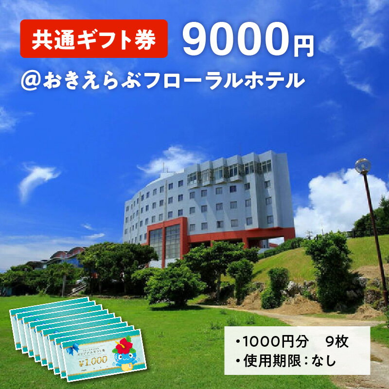 【ふるさと納税】共通ギフト券9000円＠おきえらぶフローラルホテルその2