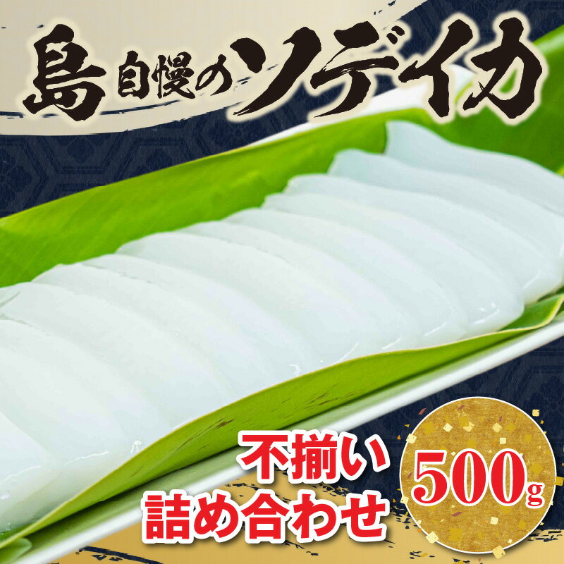 【ふるさと納税】沖永良部島産 イカの王様 ソデイカ 柵 約 500g 国産 いか 不揃い 詰め合わせ 真空パック 小分け 冷凍 長期保存 グルメ 海産物 魚介類 特産品 刺身 お寿司 鍋 バーベキュー 鹿児島県 知名町 お取り寄せ 送料無料