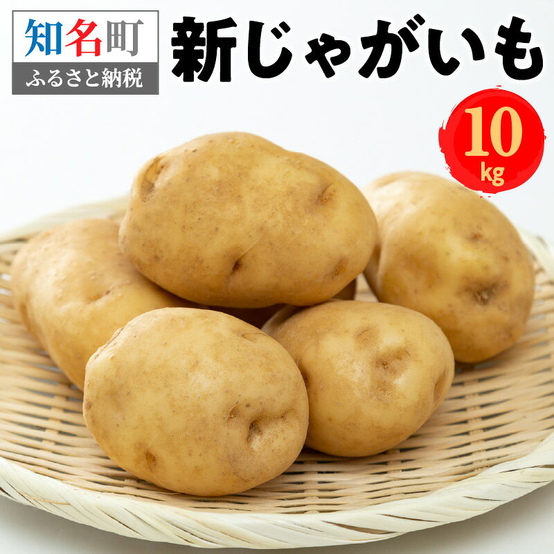 事前受付 じゃがいも 新じゃがいも 10kg 芋 ポテト キタカムイ 地域応援品 食品 新鮮 野菜 カレー ポテトサラダ 肉じゃが コロッケ 沖永良部島 知名町 お取り寄せ お取り寄せグルメ 送料無料