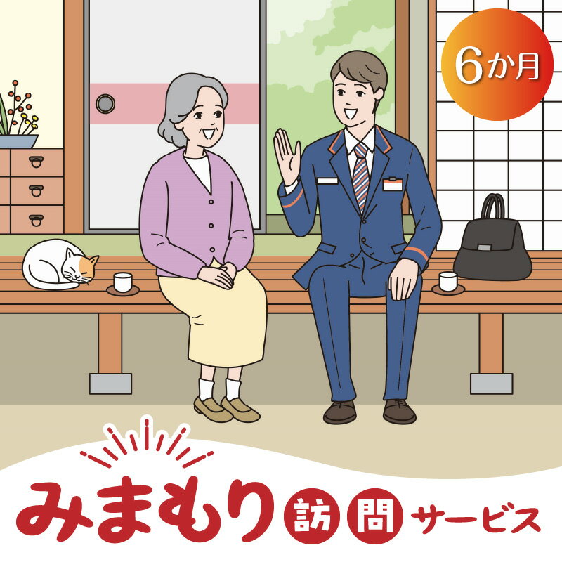 【ふるさと納税】みまもり 訪問 サービス 6か月 毎月1回 直接訪問 生活状況を確認 鹿児島県 知名町 日本郵便 送料無料