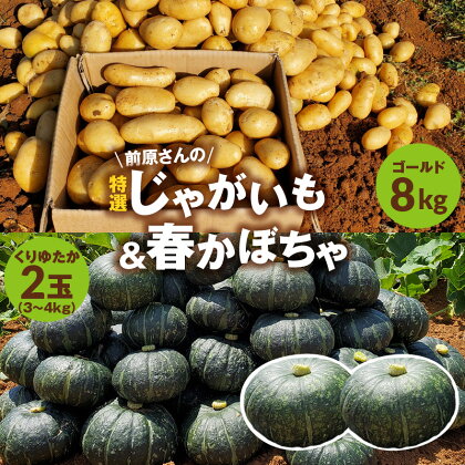 前原さんの 特選 じゃがいも ゴールド 8kg 春かぼちゃ くりゆたか 2玉 3 ～ 4kg 常温 食品 野菜 かぼちゃ 栗かぼちゃ フライドポテト ポテトチップス スナップ牧場 鹿児島県 知名町 お取り寄せ 送料無料